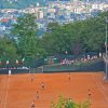 fumane .cavaion foto mosna 88